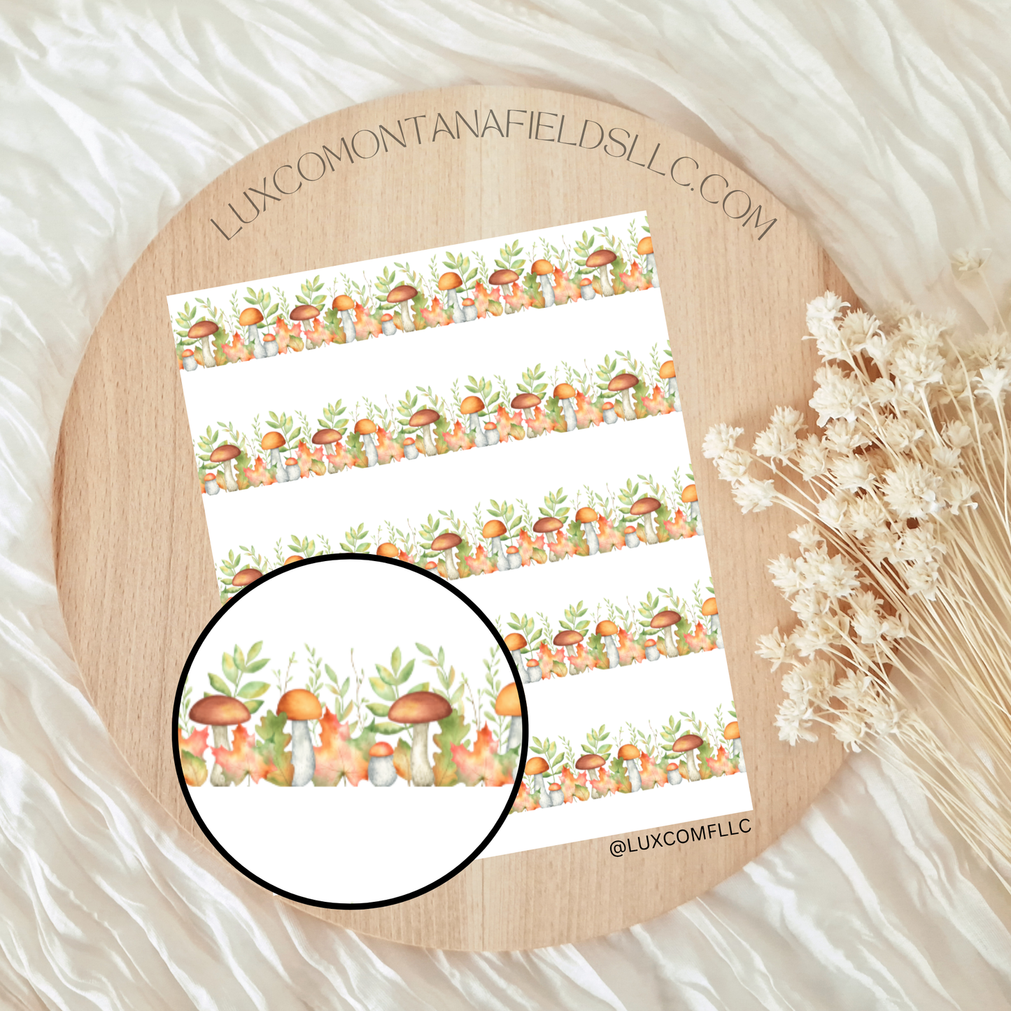 Transfer Paper 253 (Mushroom)