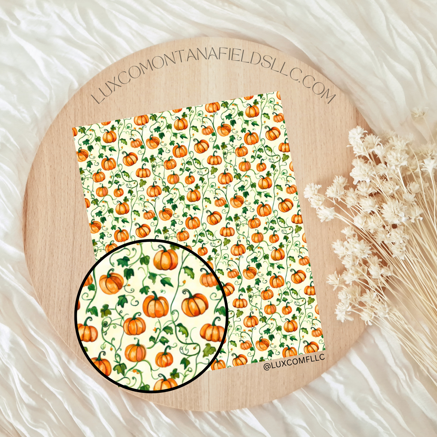 Transfer Paper 301 (Pumpkins)